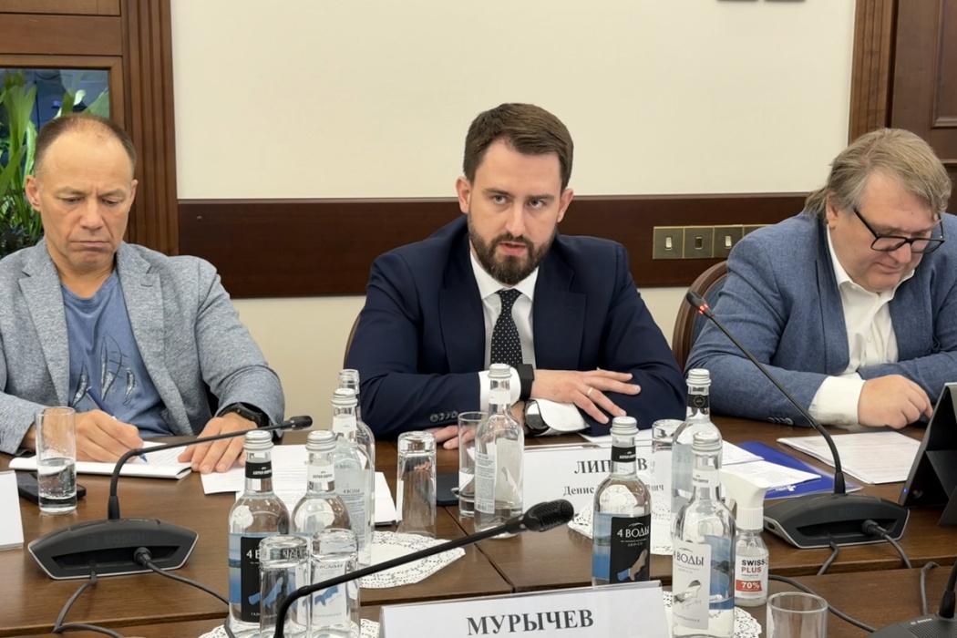 Денис Липаев выступил за сбалансированное регулирование, сочетающее укрепление капитала банков и поддержку экономики